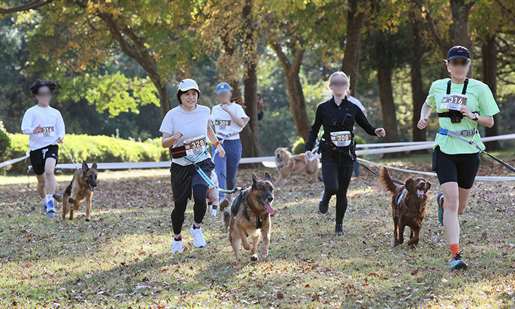 ドッグスポーツ