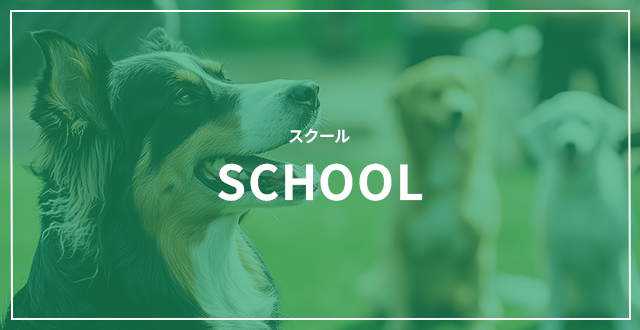 スクール