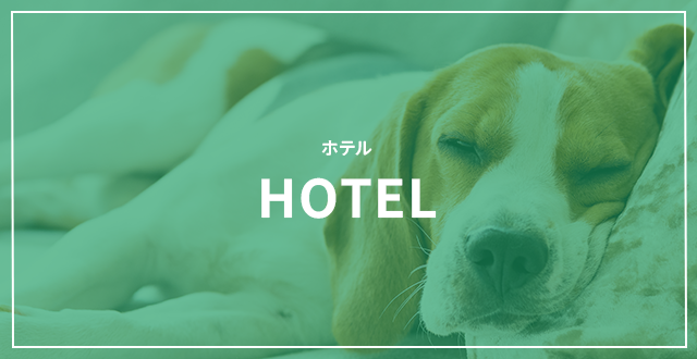 ホテル