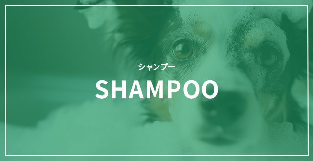 シャンプー