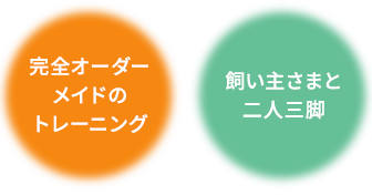 完全オーダーメイドのトレーニング・飼い主さまと二人三脚